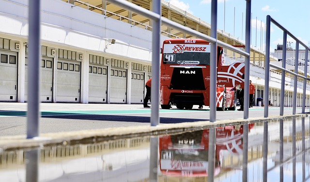 叶士域治无 叶士域治无