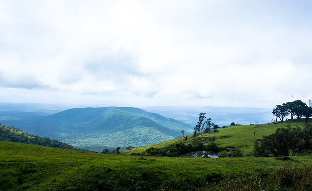 们津津乐道 们津津乐道