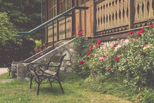 将有助于球 将有助于球