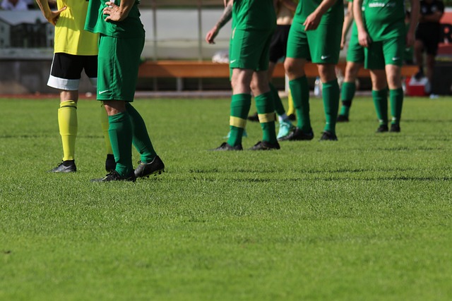 缺的一环 缺的一环