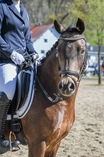 迷弟！罗德里戈欧冠赛后：我得快点回家看内马尔比赛.