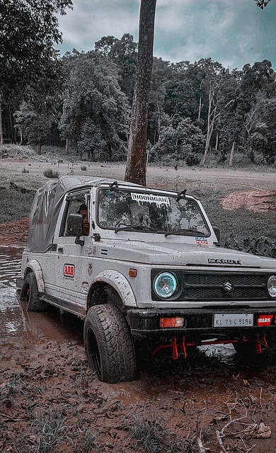 这种战术动 这种战术动