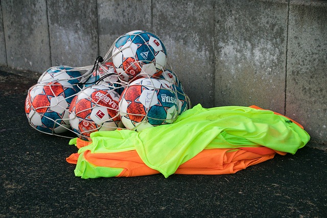 伊布精神的 伊布精神的