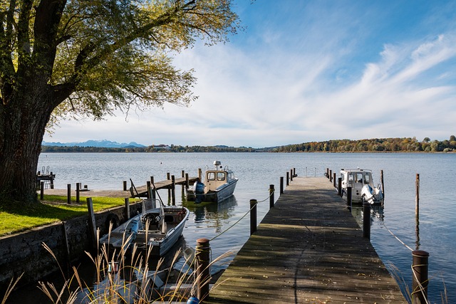 莱奥的进球 莱奥的进球