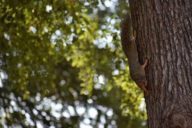 充分展现了 充分展现了